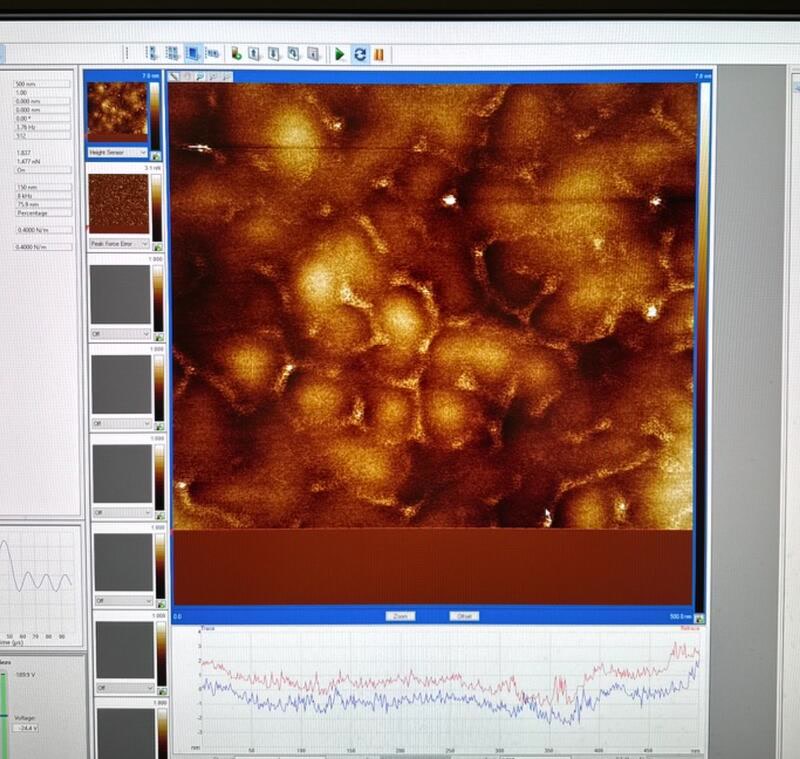 AFM fast-scan image and analysis traces displayed in instrument software
