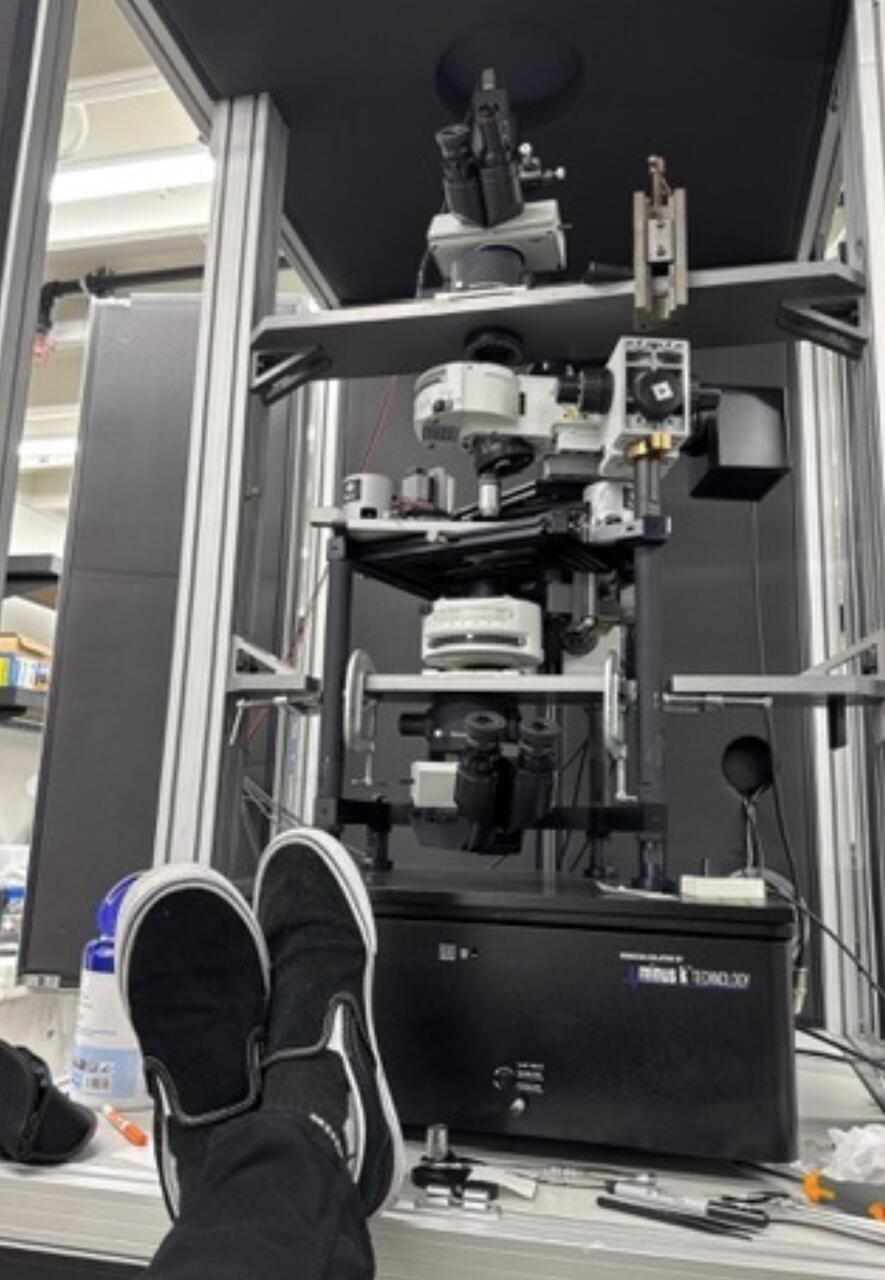 Repaired atomic force microscope from 2001