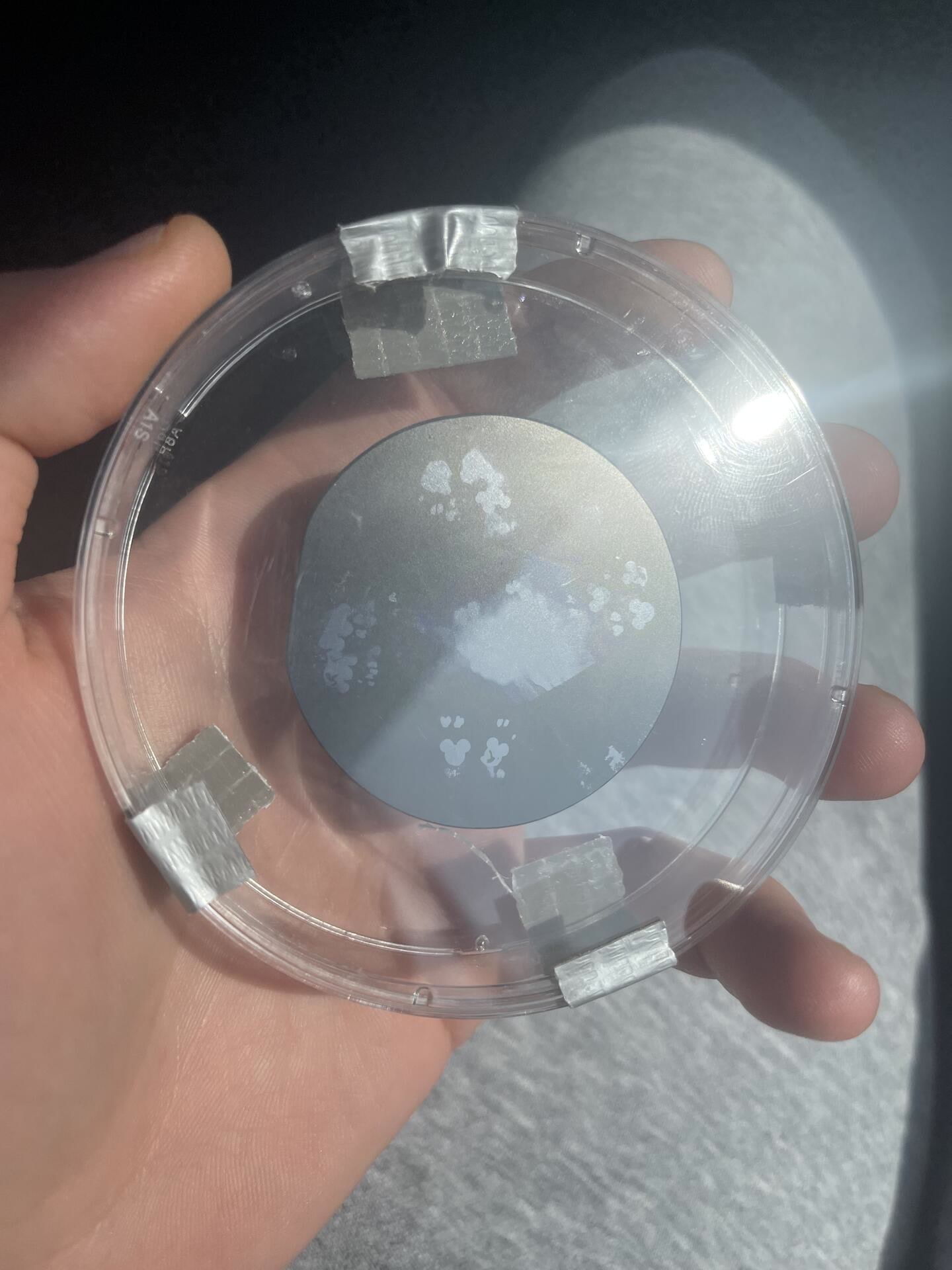 Patterned circular substrate held in a clear dish